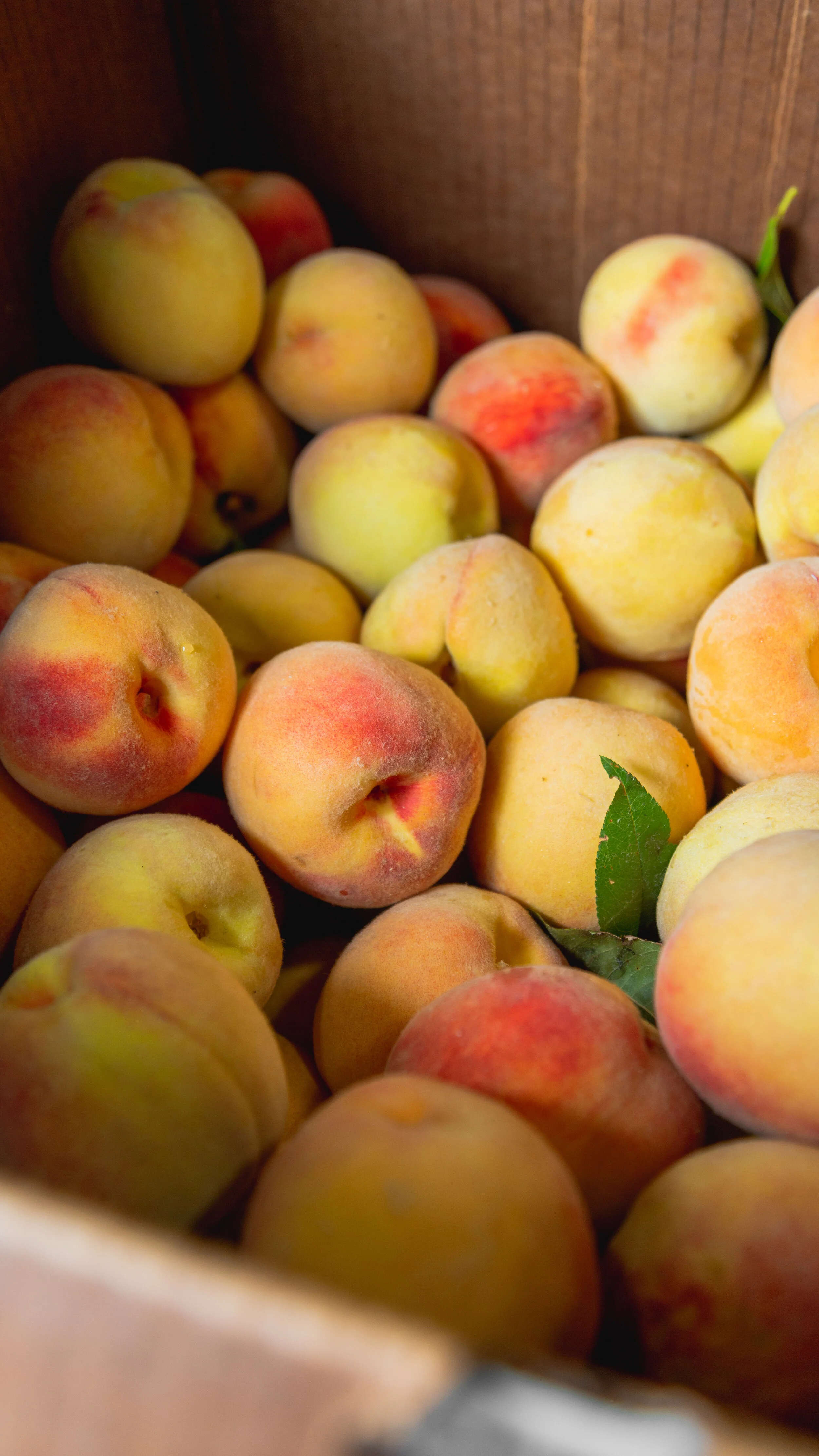 Box Of Peaches IG Story.jpg