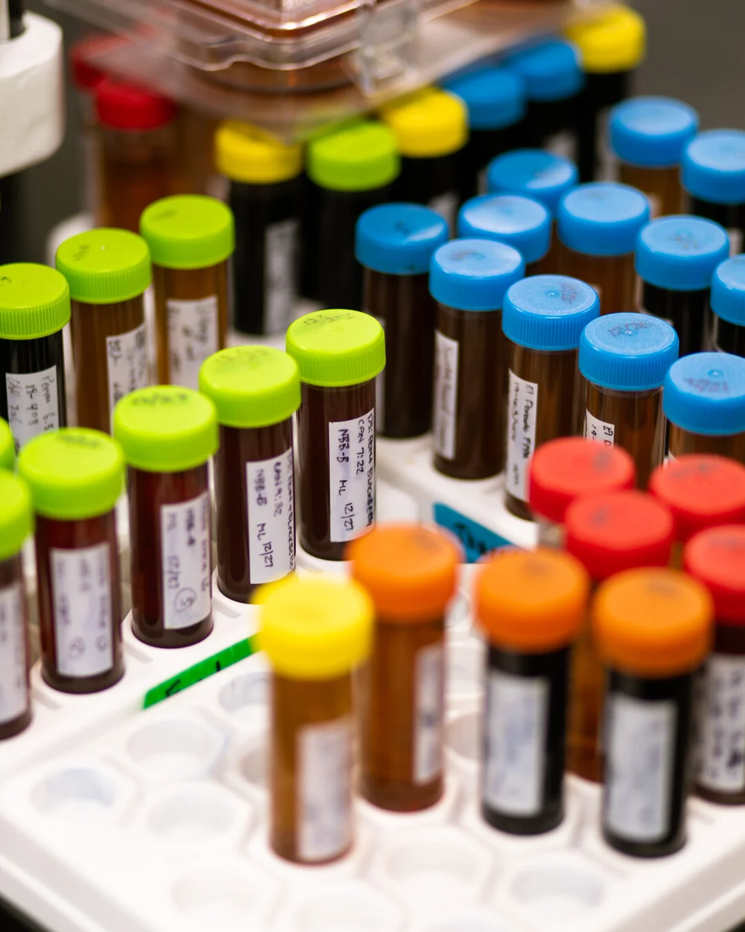 Test Tubes.jpg