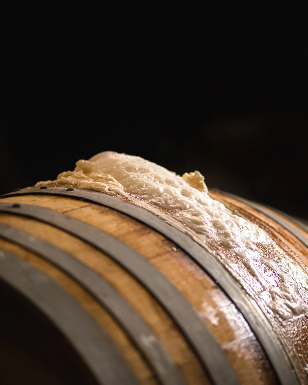 Wild Barrels 3.jpg