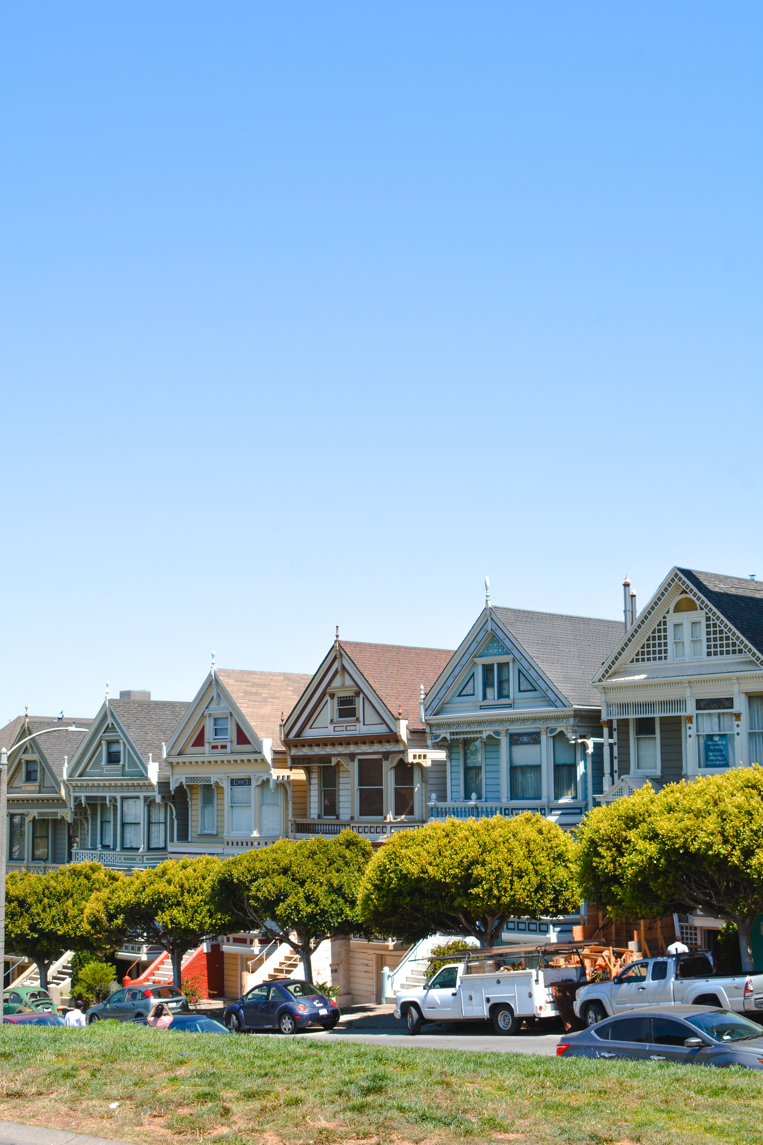 Painted Ladies.jpg