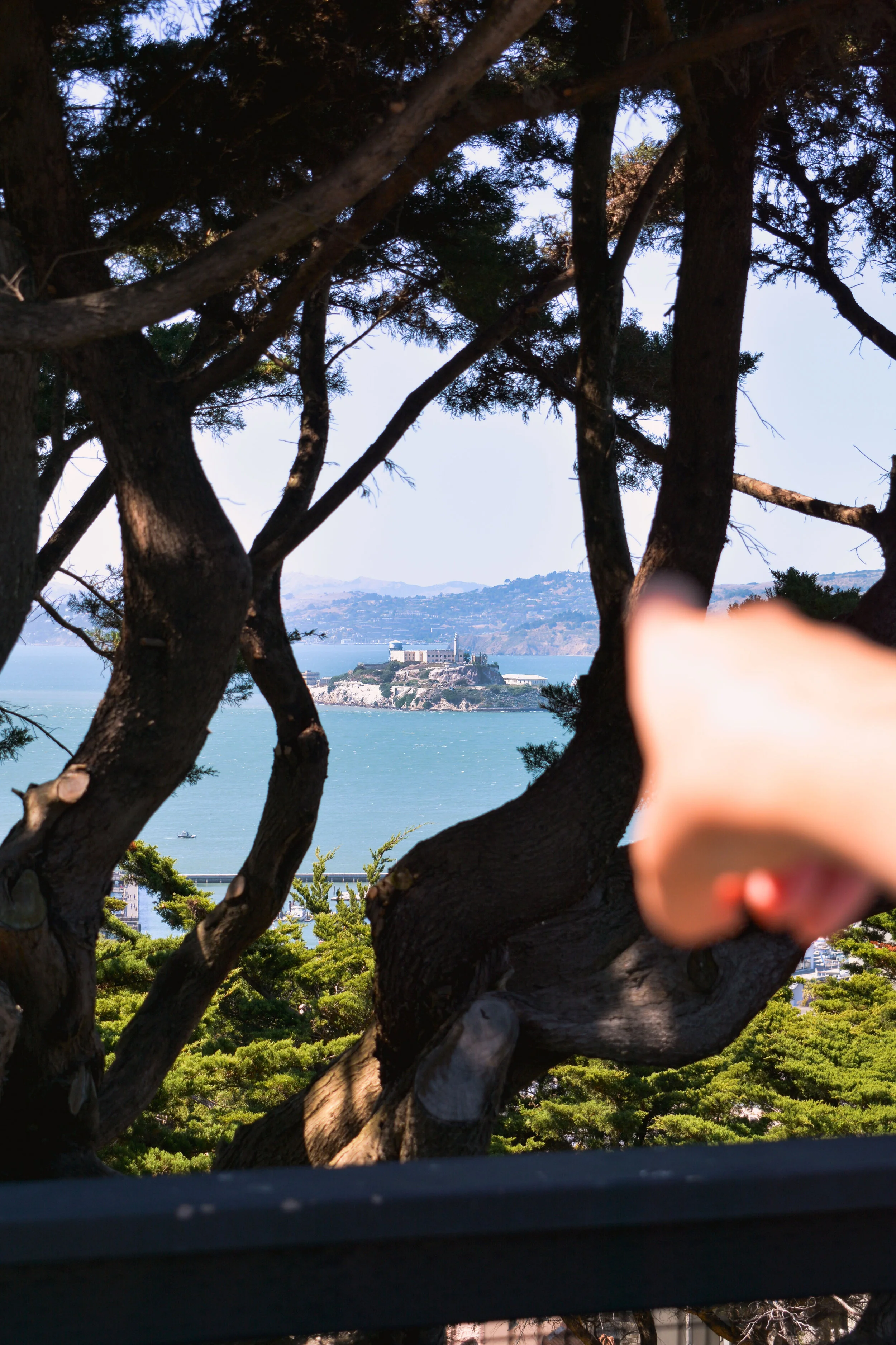 Alcatraz Point.jpg