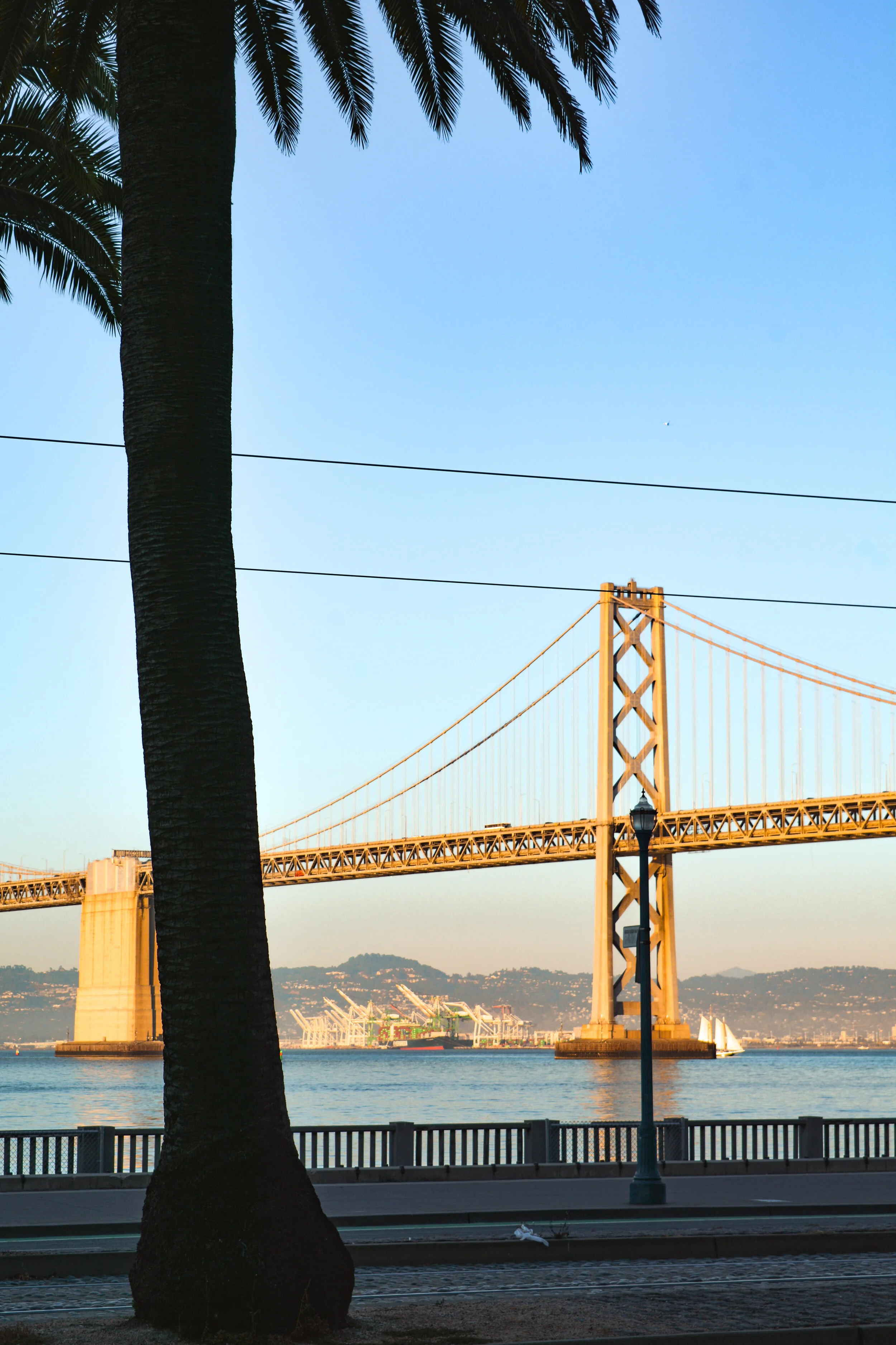 Bay copy.jpg