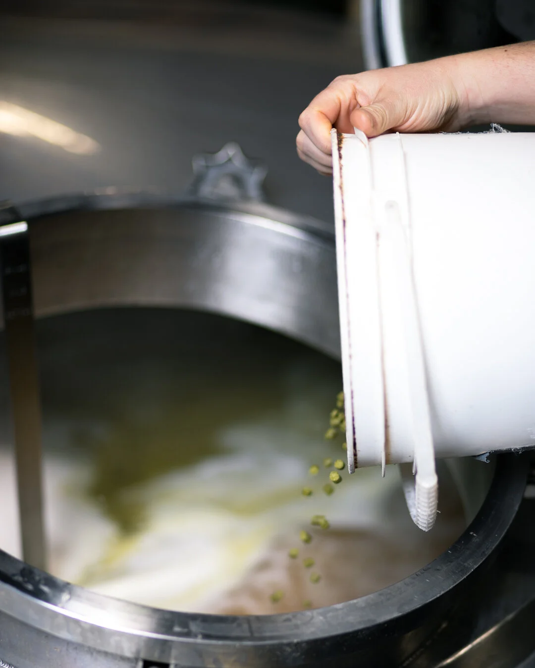 Hop Addition 2 4x5.jpg