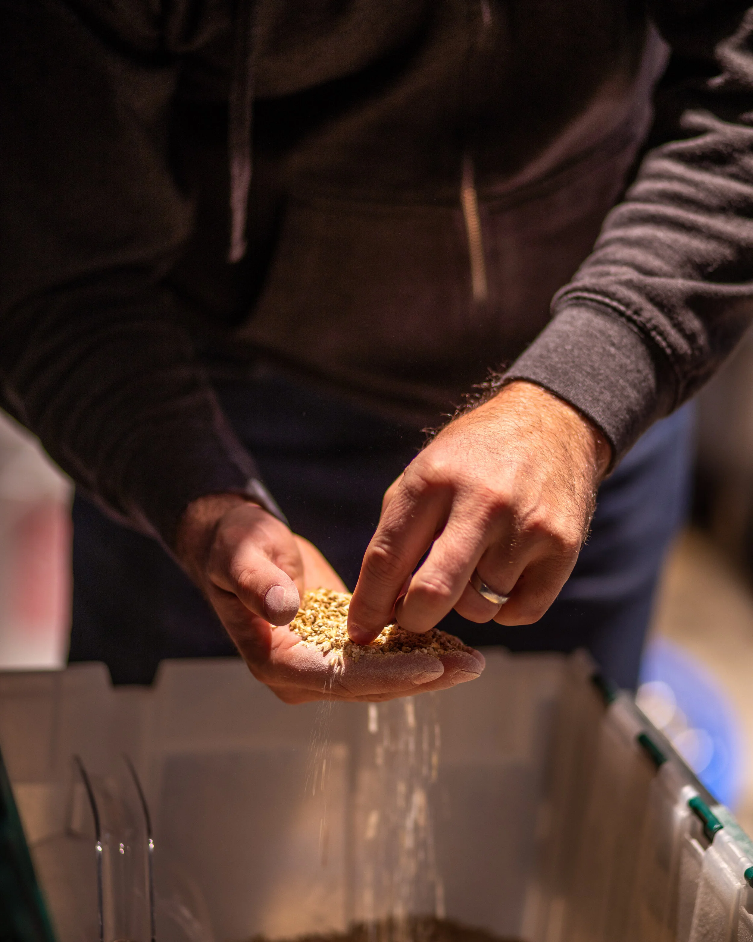 Sifting Grain 4x5.jpg