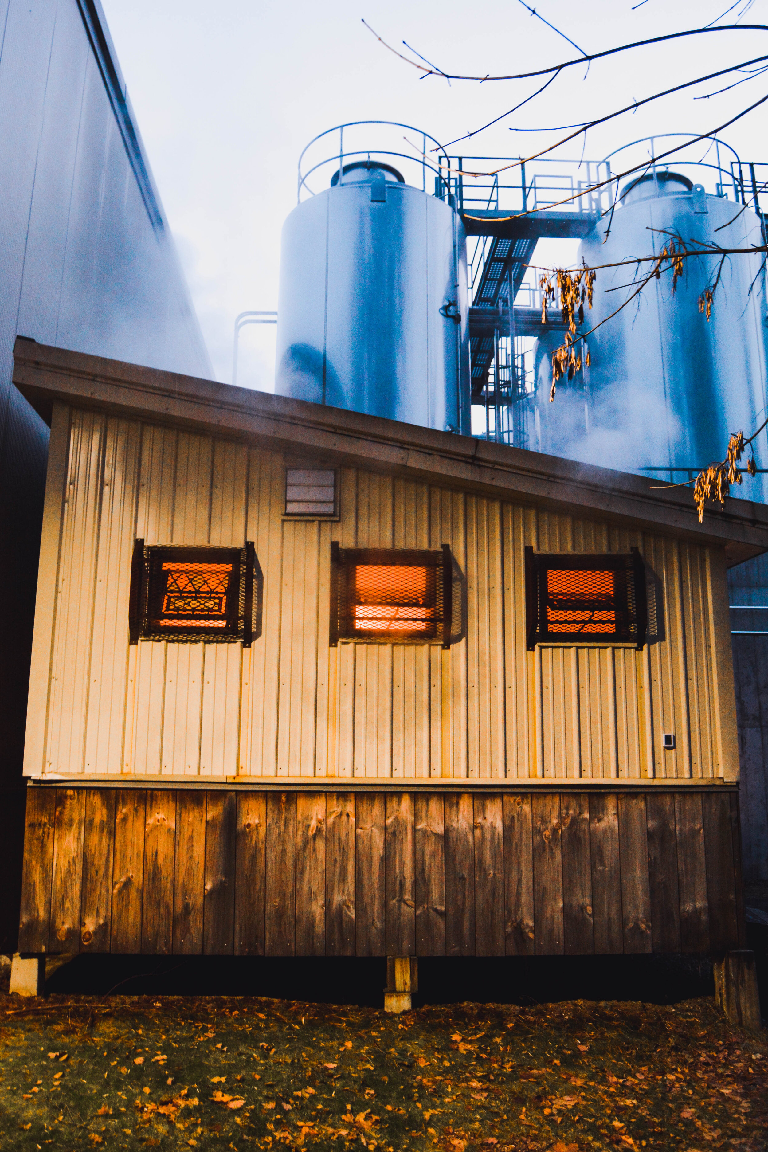 Glow & Steam Vertical.jpg