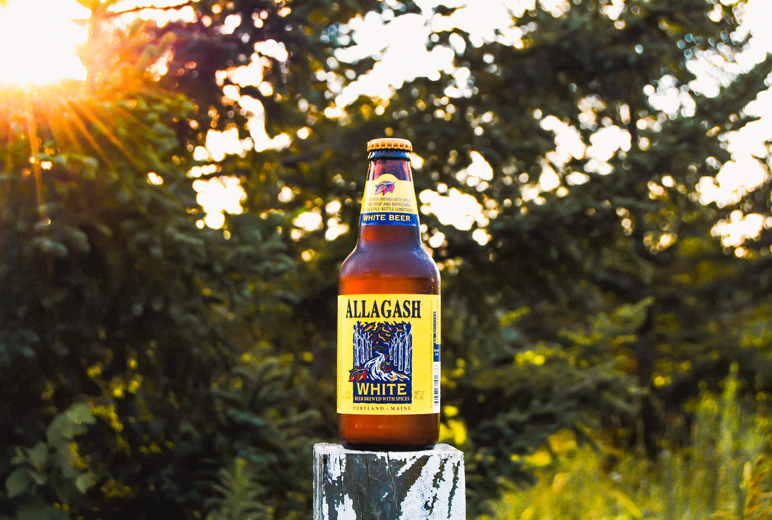 Allagash White.jpg