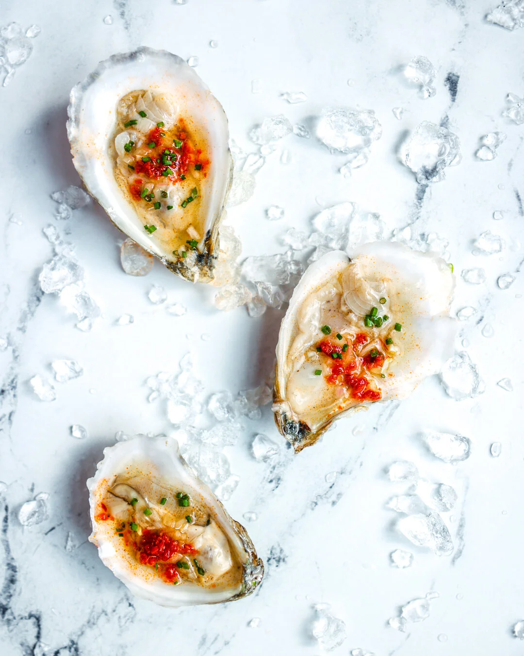 Oysters 1 (1).jpg