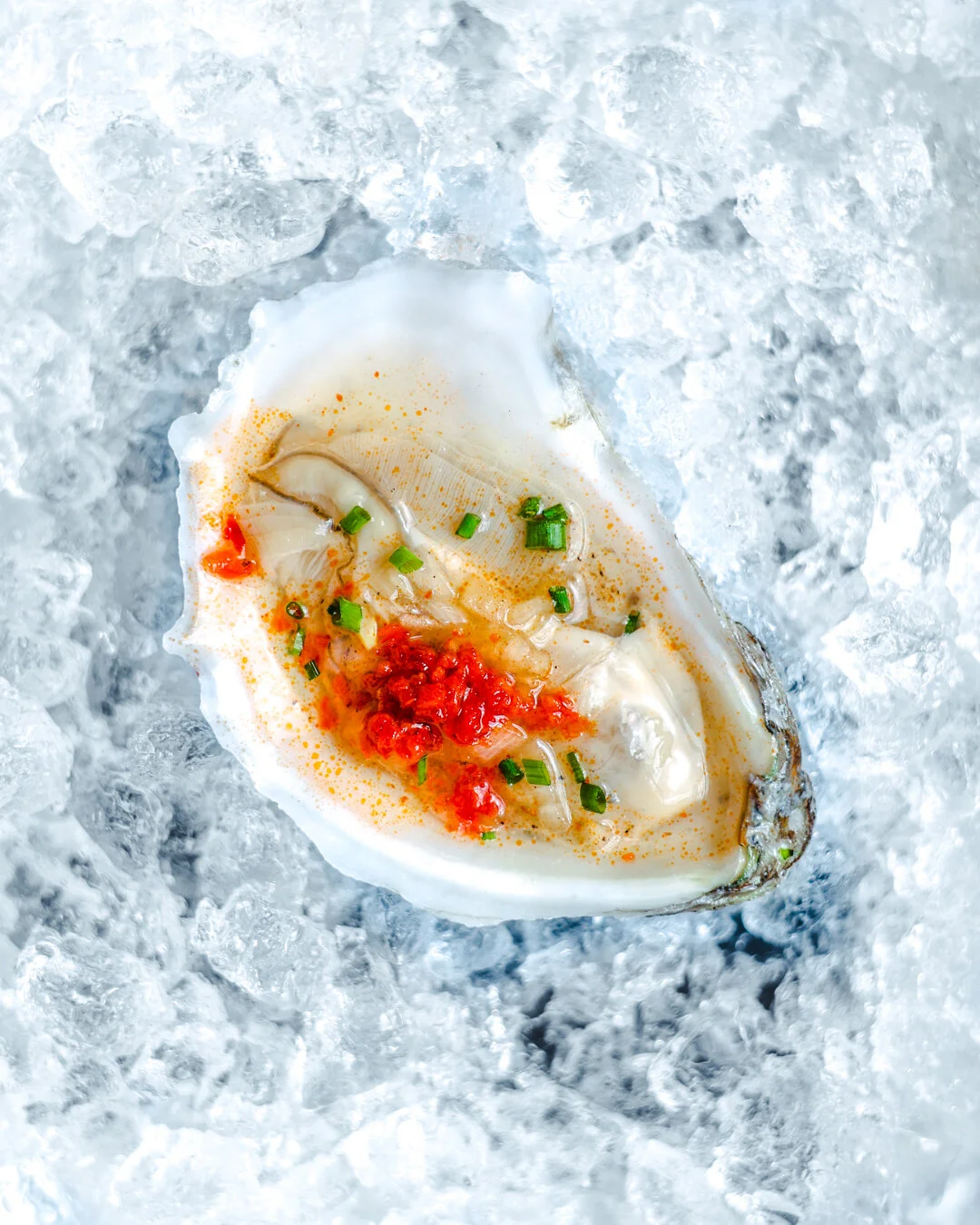 Oysters 2.jpg