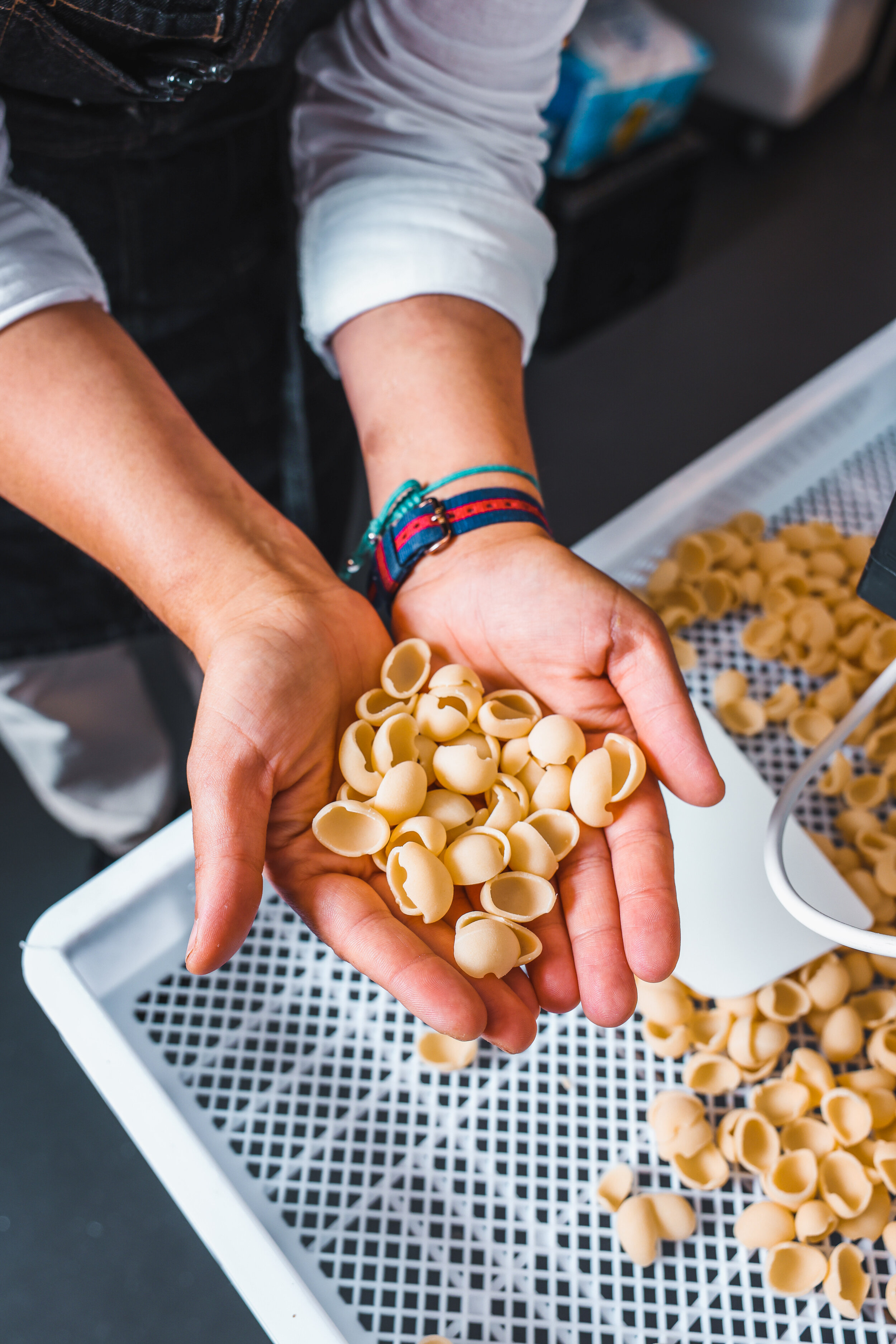 Pasta Making 4.jpg