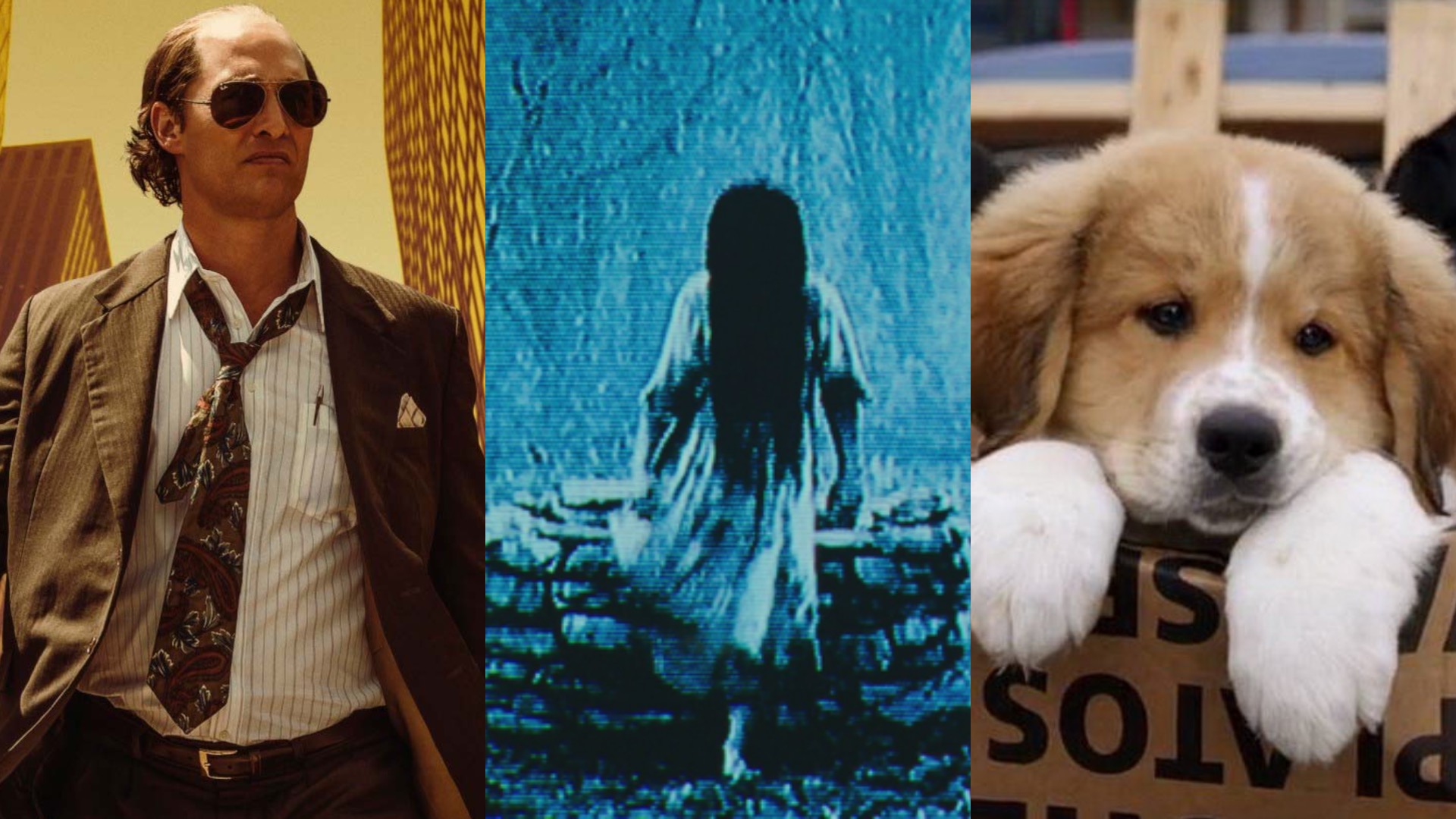 Kneel Before VOD: April 18th