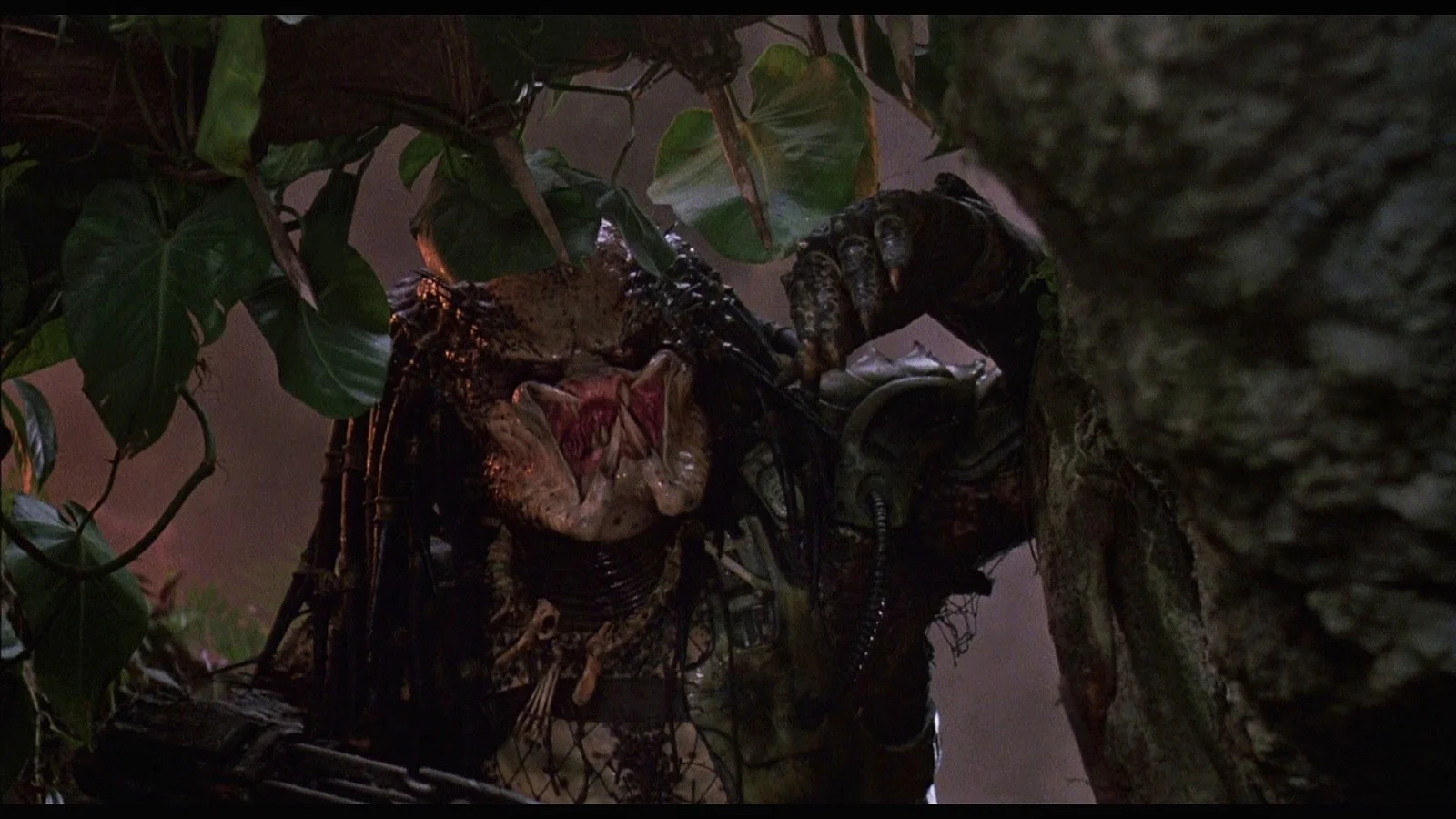 Ain't Got Time To Bleed: Predator at 30