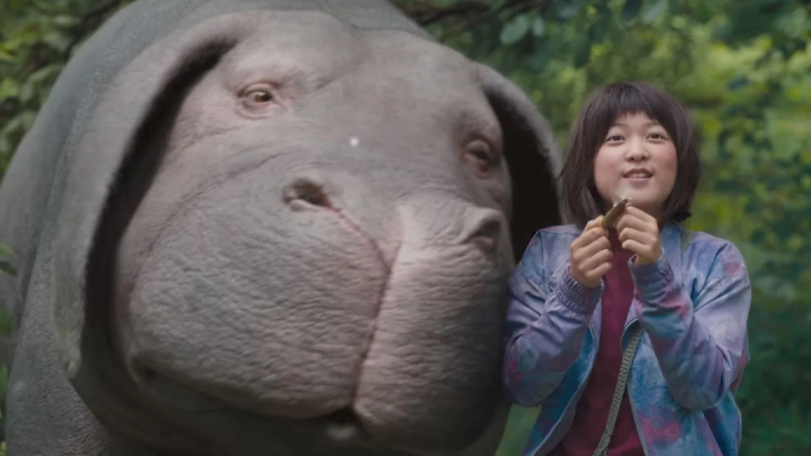 Review: Okja