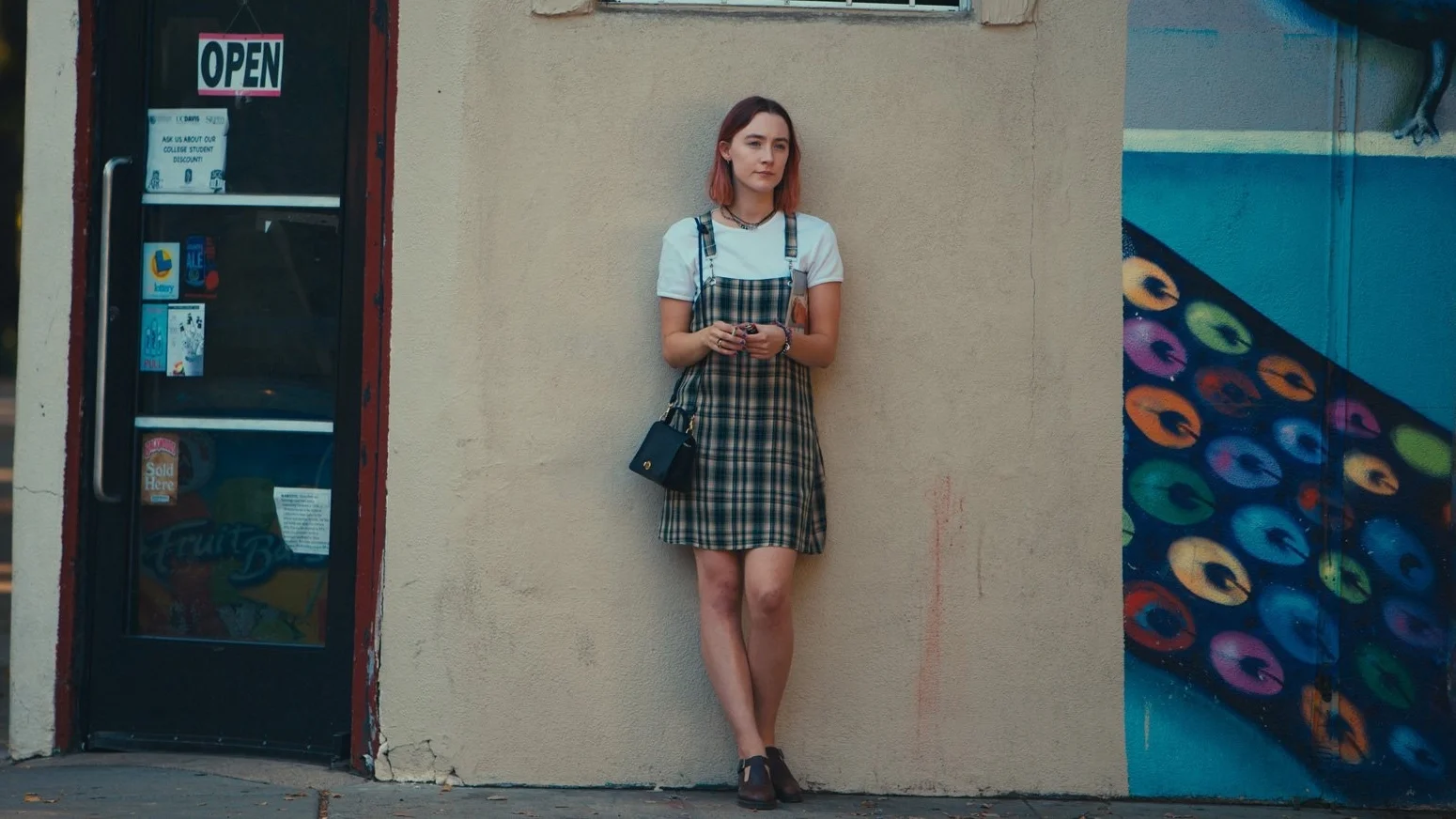 Lady Bird (2).jpg