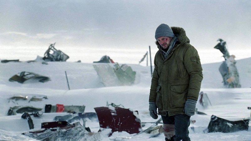 the grey, liam neeson, the grey movie,