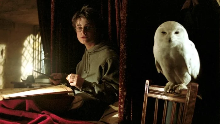 hedwig.jpg