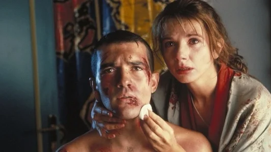 tie me up tie me down, antonio banderas, pedro almodovar, victoria abril,