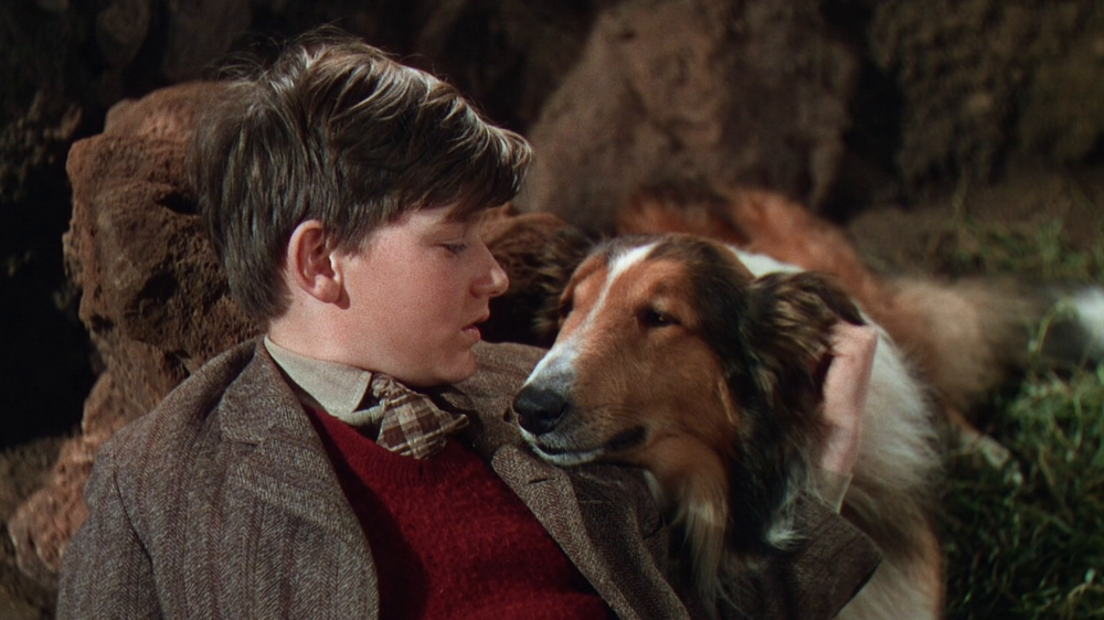 Lassie” star talks of life with and without the dog