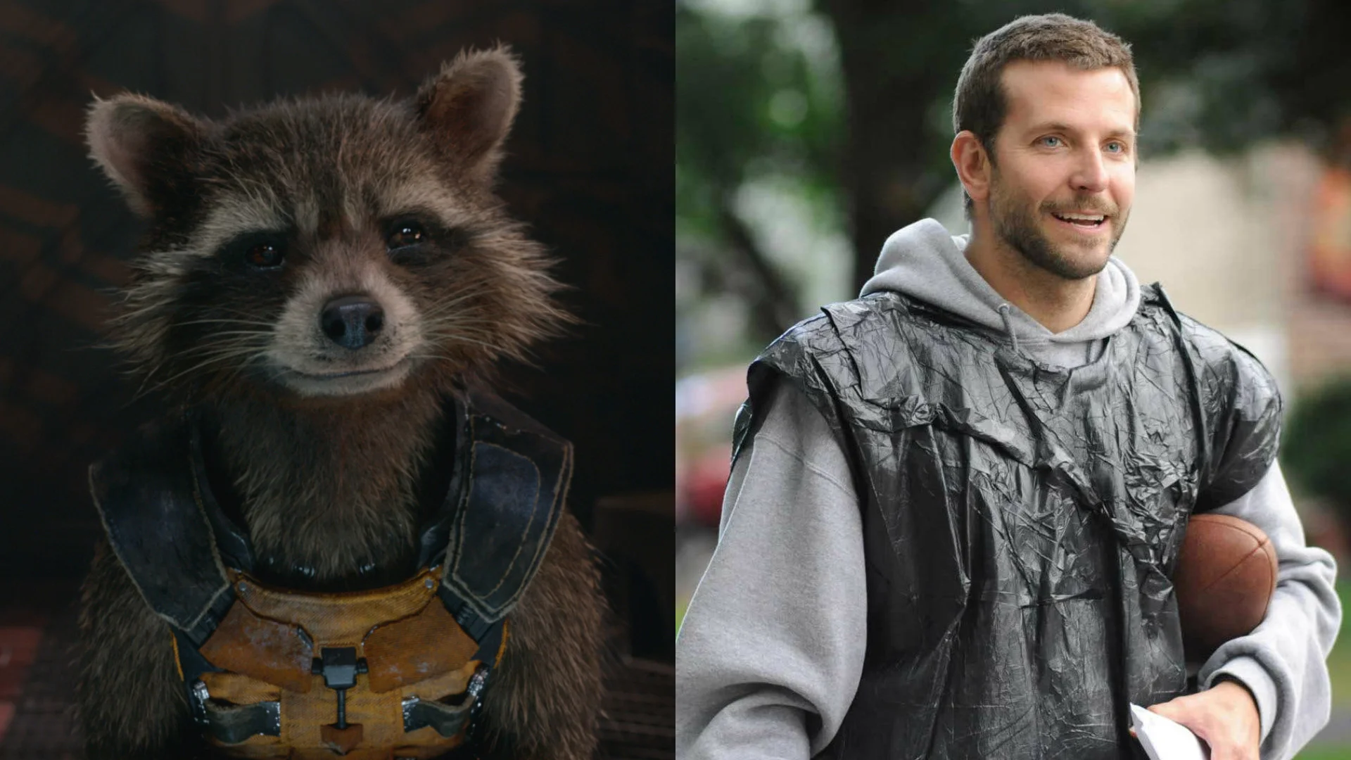 bradley cooper rocket raccoon marvel cinematic universe