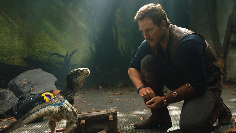 The Surprising Love Affair With Blue The Raptor Talk Film Society The Surprising Love Affair With Blue The Raptor Talk Film Society