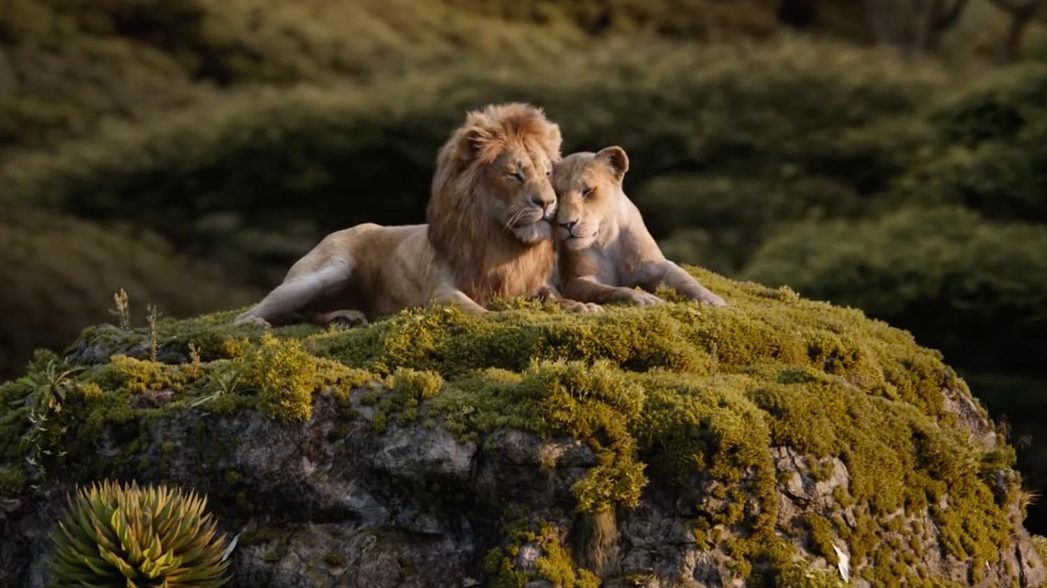 Review The Lion King 19 Talk Film Society