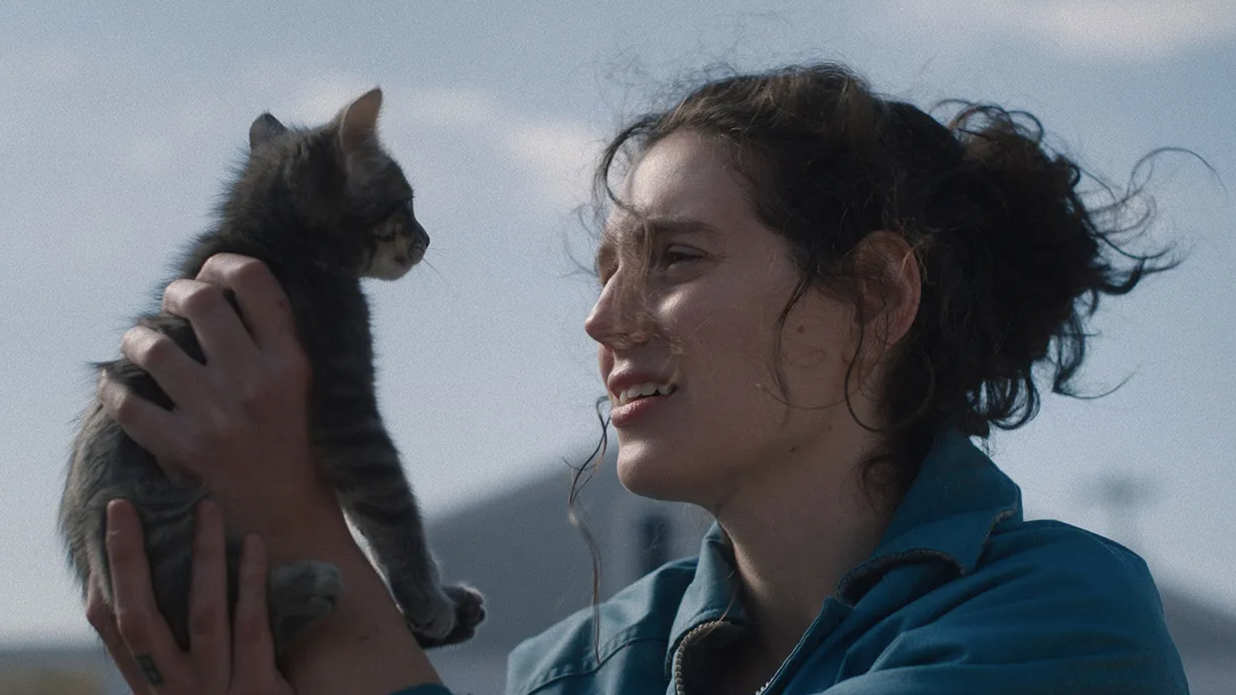 TFSAwards Show: Best Original Screenplays, Best Adapted Screenplays of 2025