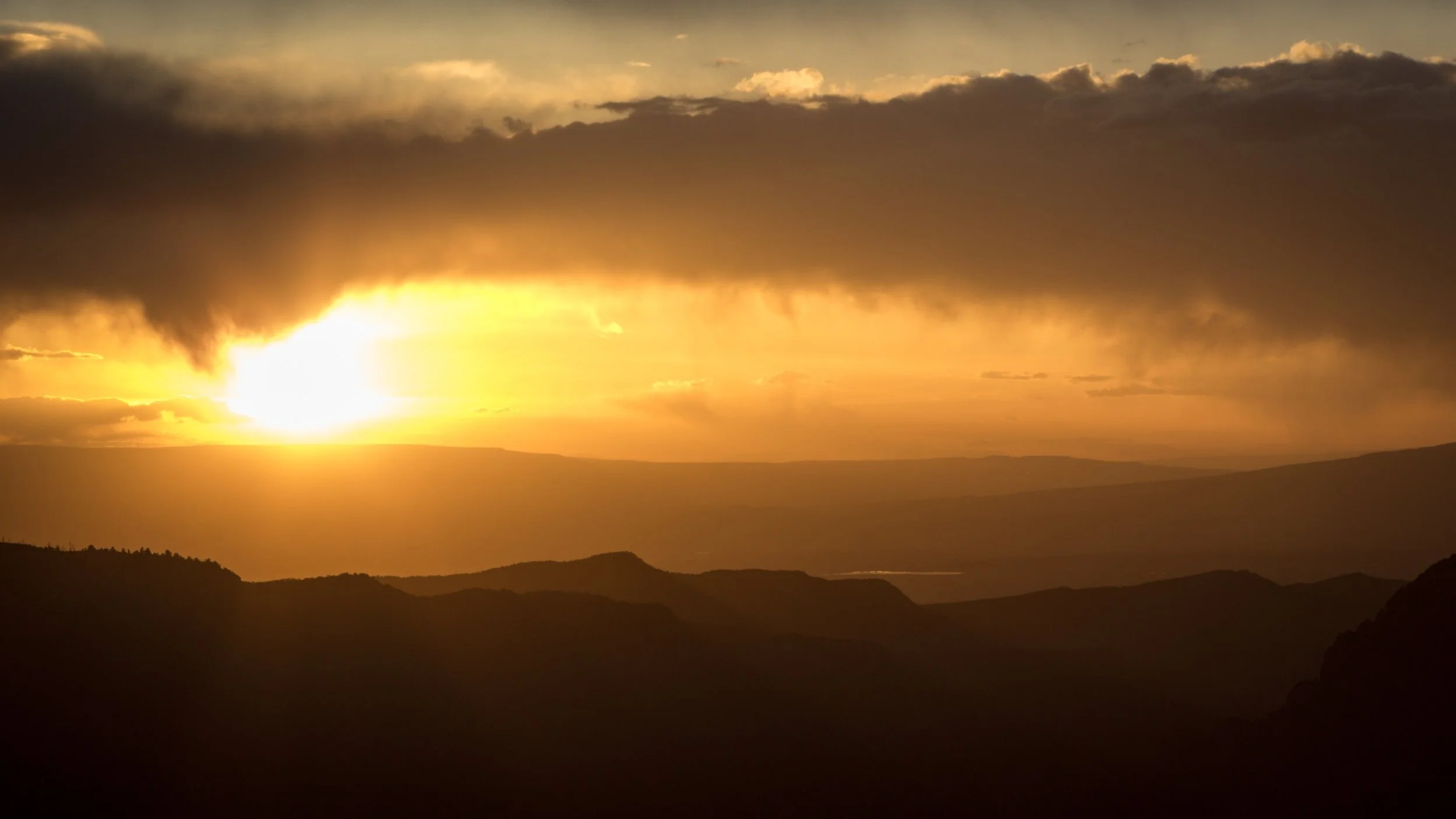iStock-949557616.jpg