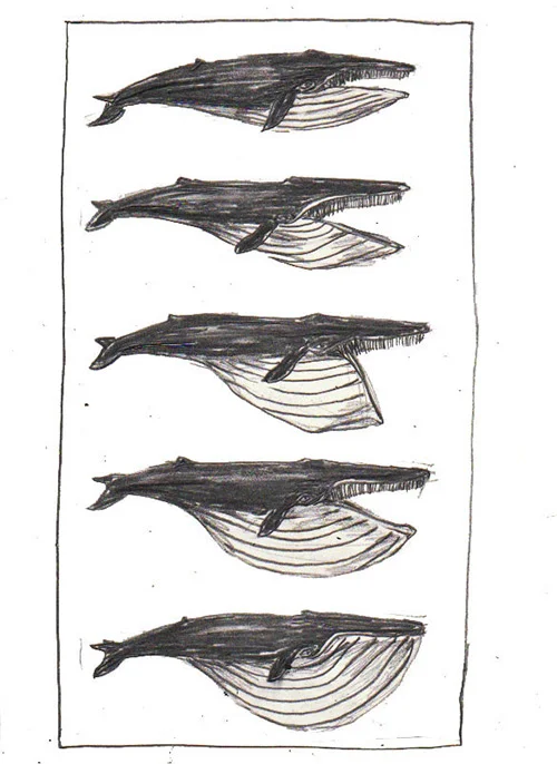 BEST PRIZE Chapbook Contest