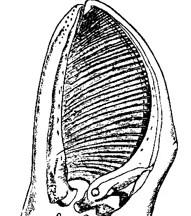 footer image.jpg