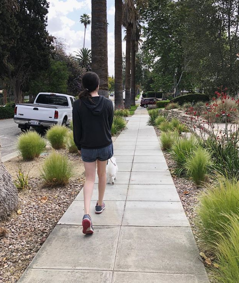 CALL FOR ARTIST: LGBT-QIA Artist Of Color for Book cover Design