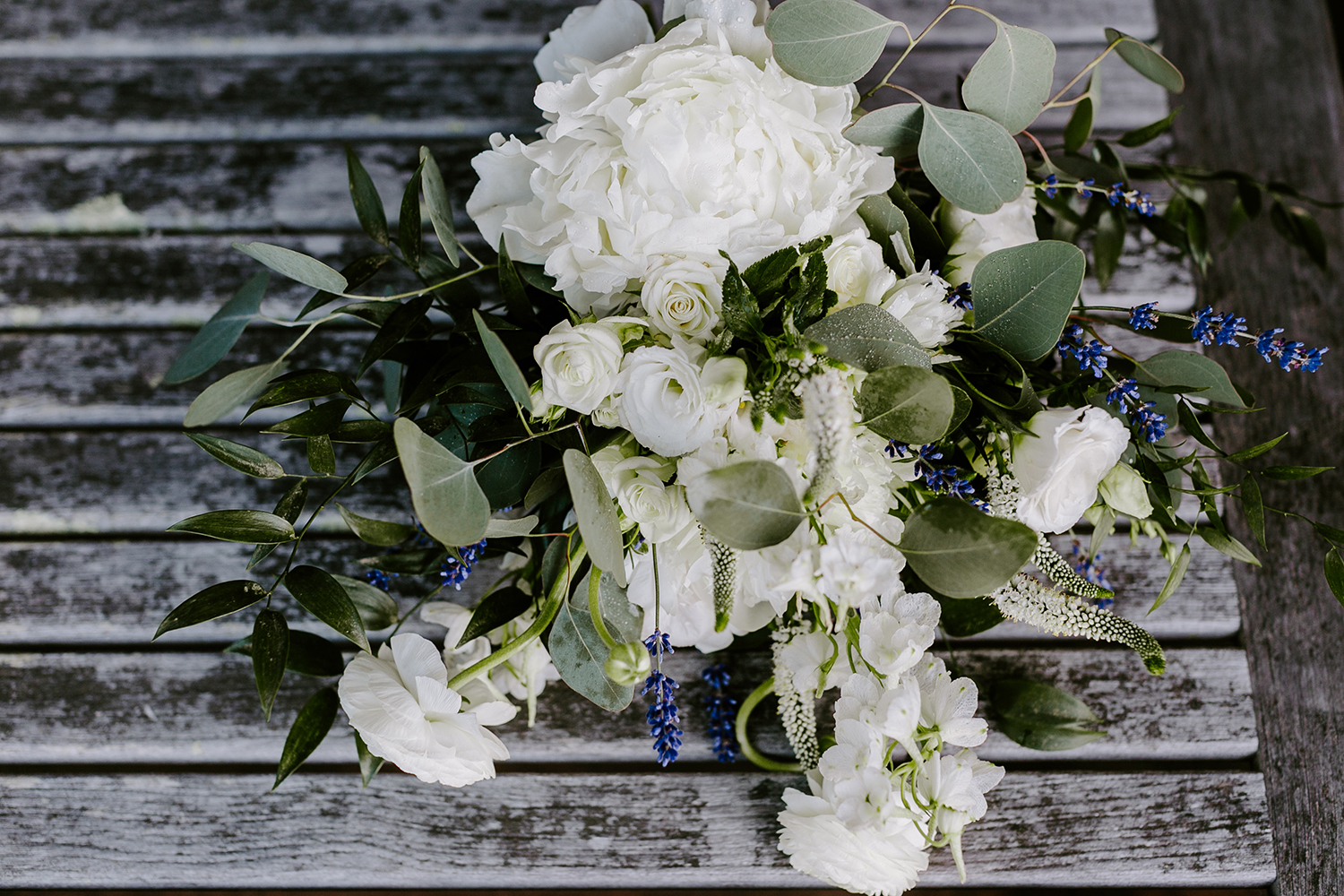 aubrey_maria_designs_4.jpg