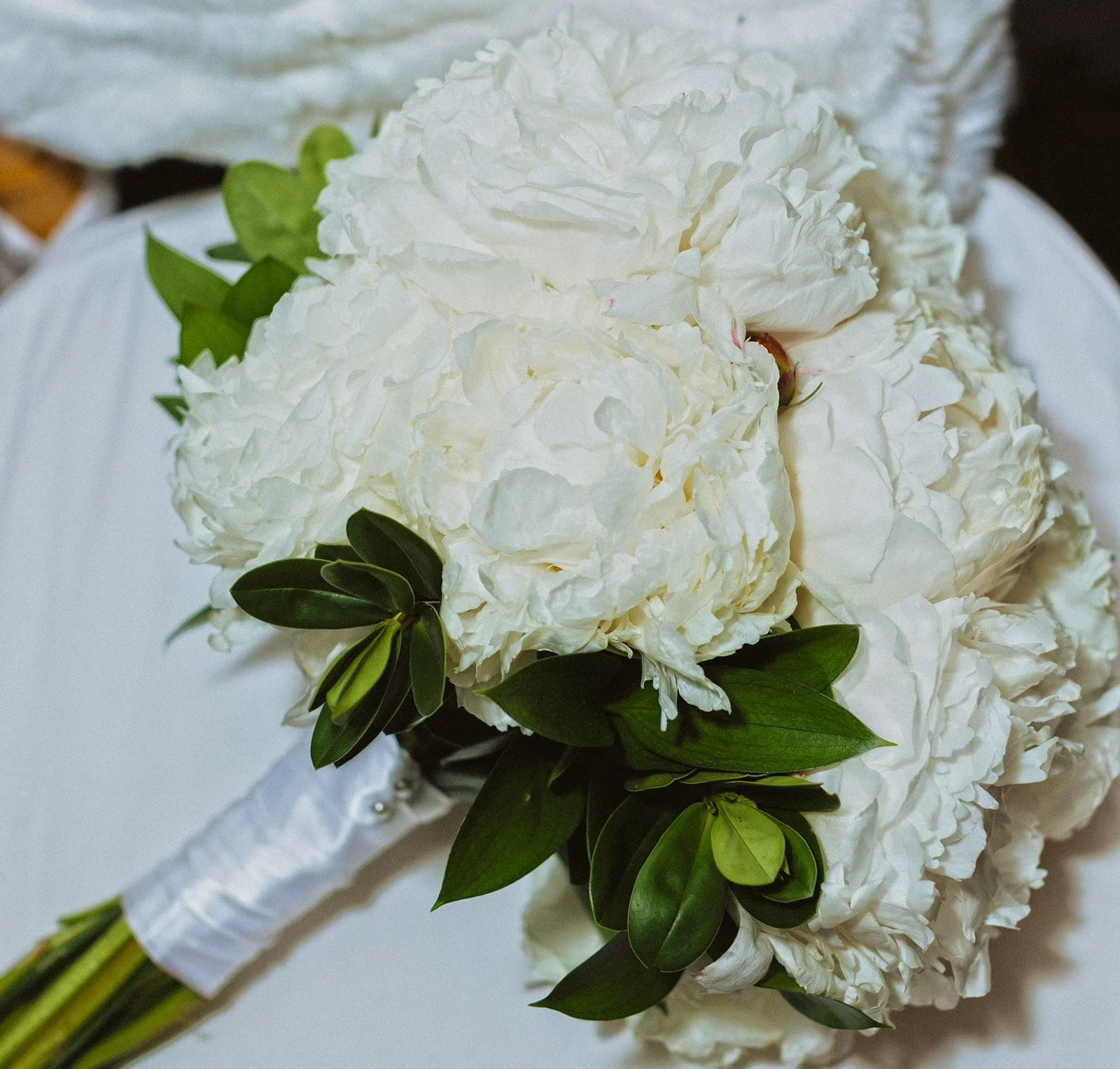 aubrey_maria_designs_2.jpg