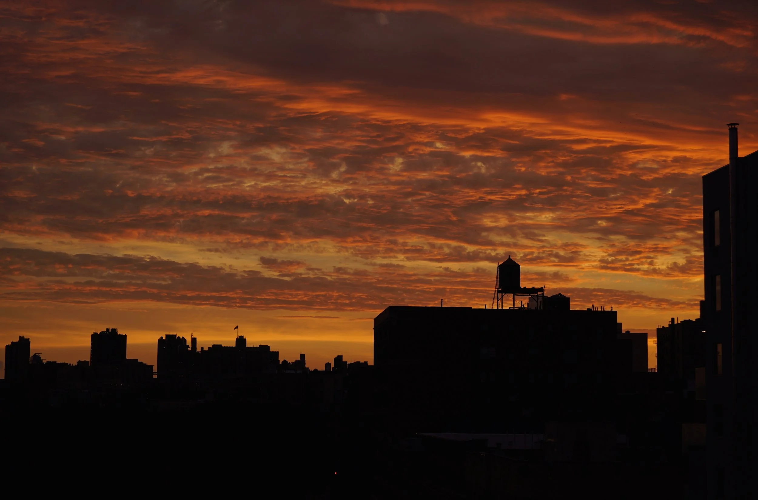 Harlem Dawn Series (#1)