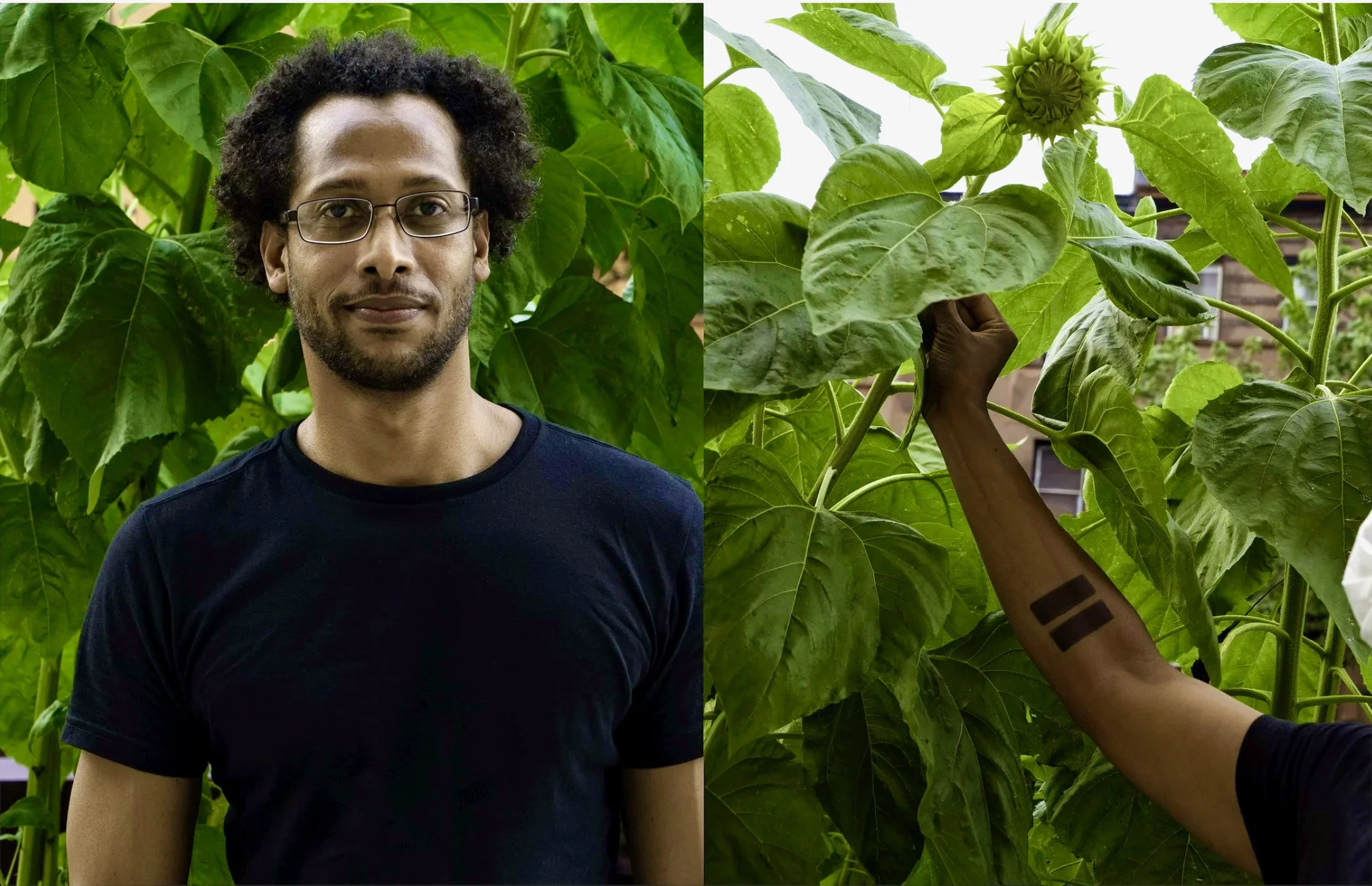 Covid Memorial Portrait Series (Diptych E)