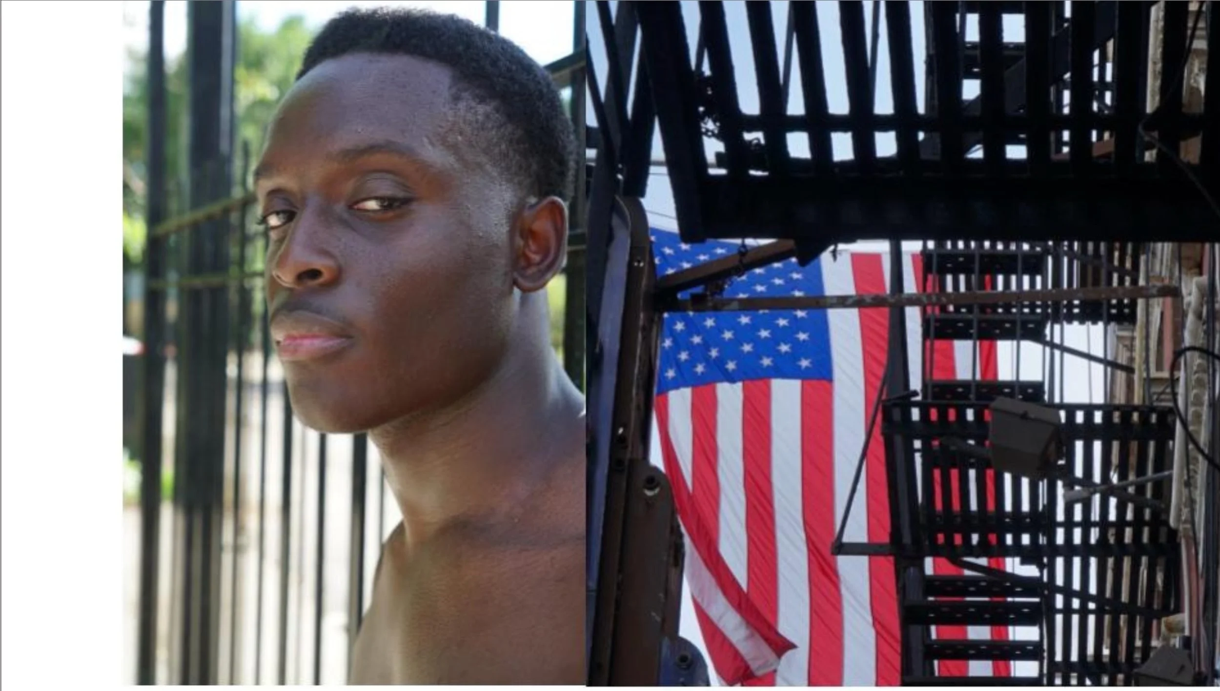 America Diptych Series (Diptych #2) 