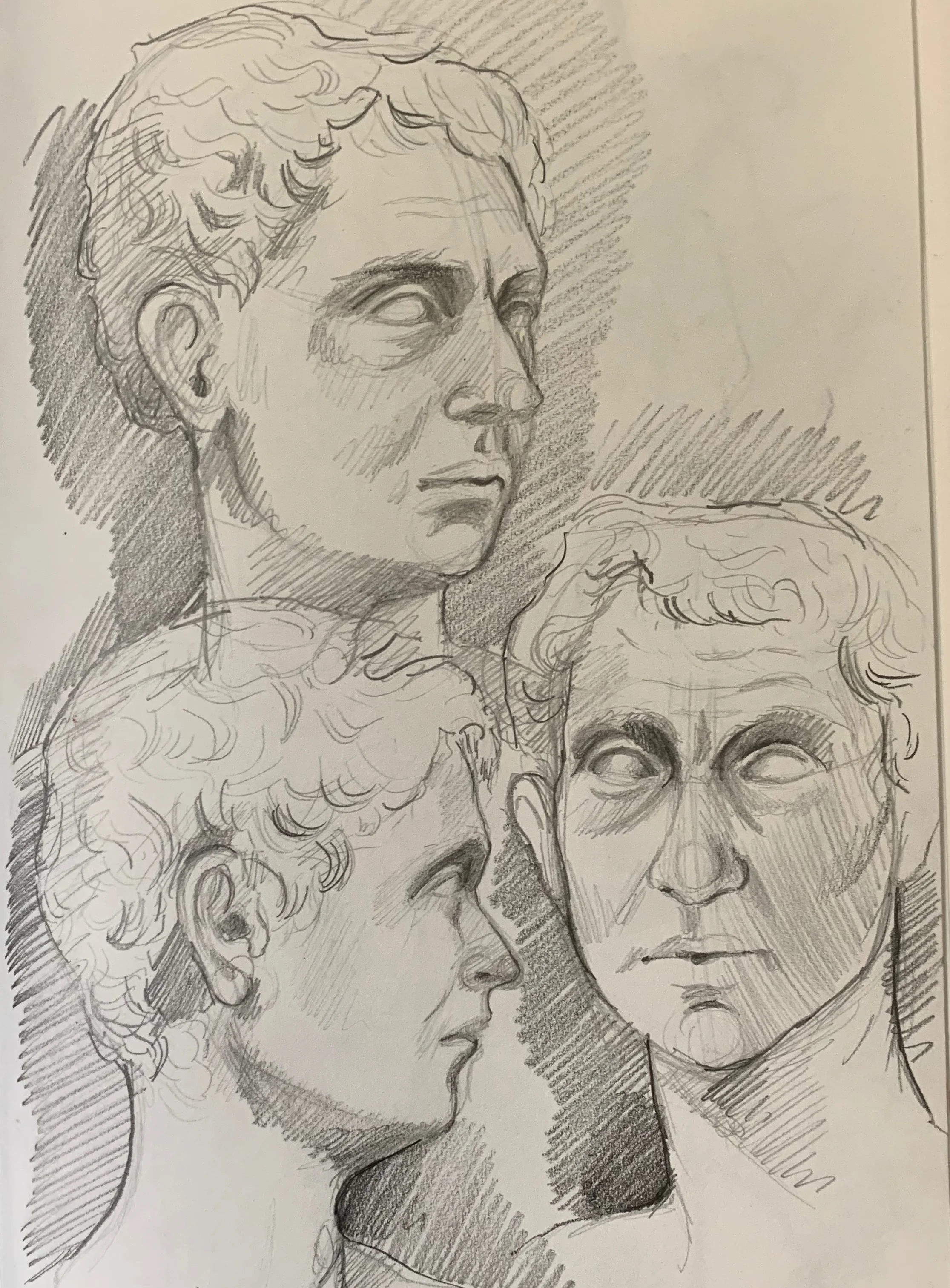 Study of a bust in the Capitoline Museum, Rome, Italy. 