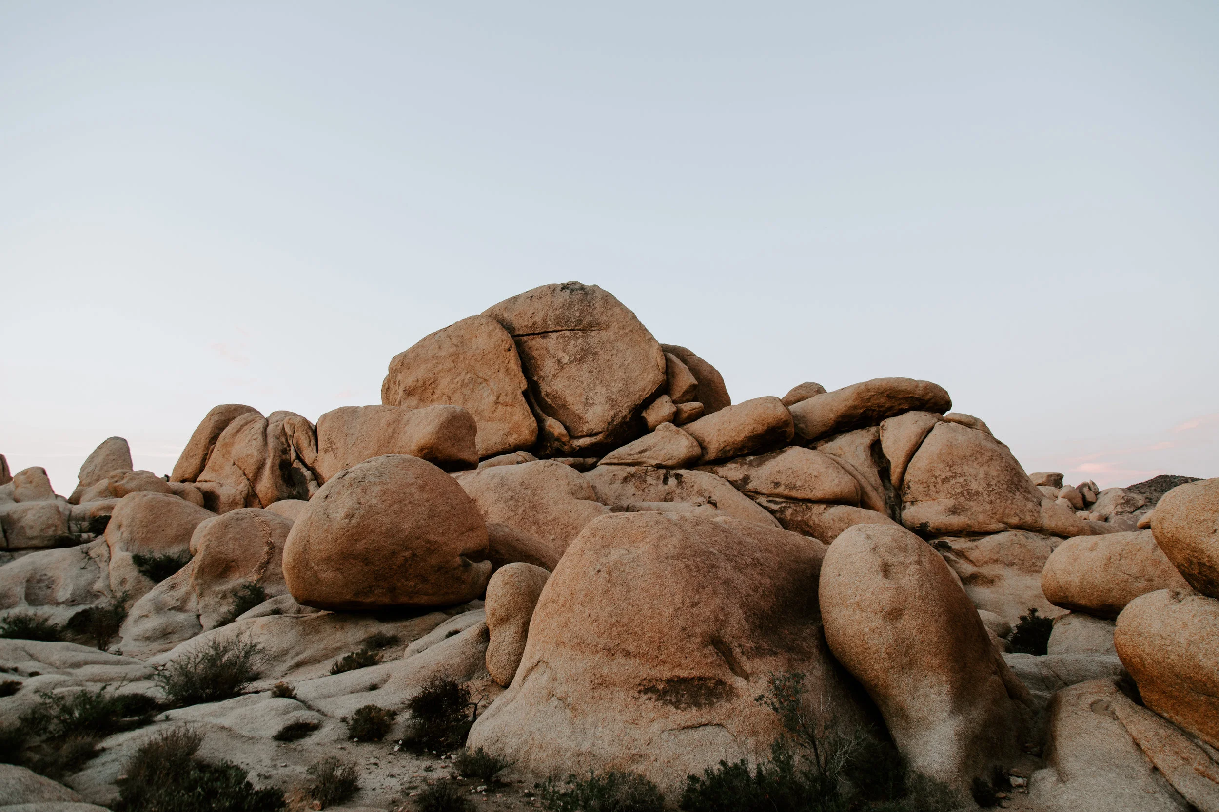 Joshua Tree, California