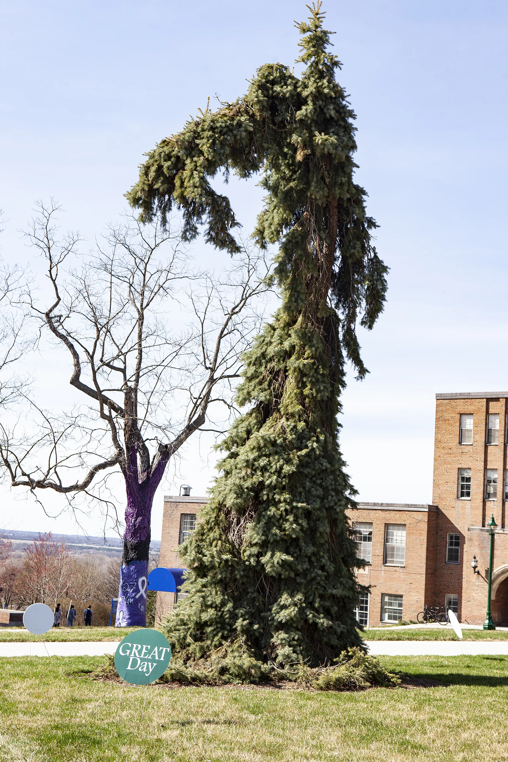 Students presented their research through poster presentations (pictured top and bottom left) at the 13th annual GREAT Day on Wednesday April 17. There were decorations throughout all of campus, like the Seuss Spruce (pictured above), in celebration of GREAT Day (Udeshi Seneviratne/photo editor).