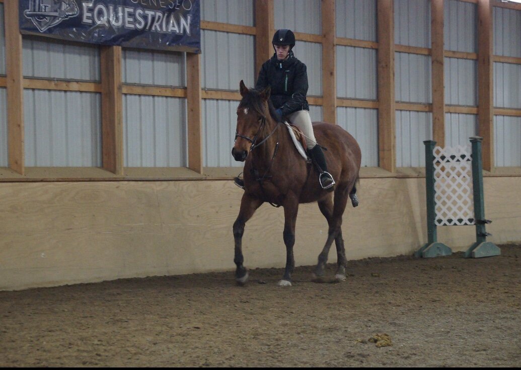 Formal report allows equestrian team to continue after former equestrian team members cite concerns as reason for quitting