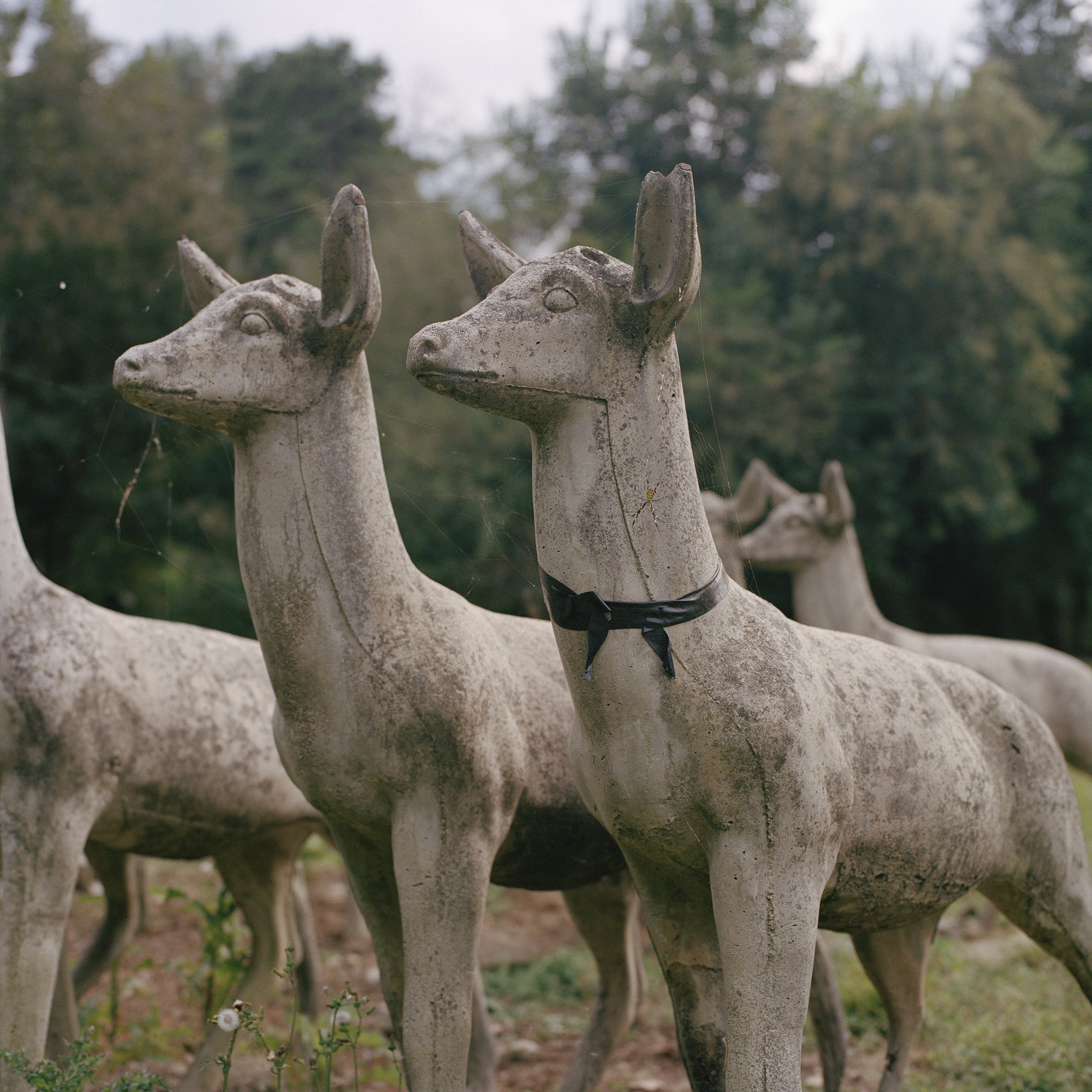 stone deers 1.jpg