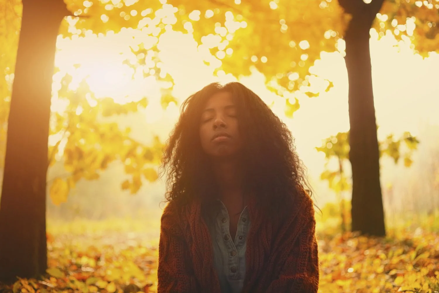 FallMeditation_1500-56a6df223df78cf77290a3ce.jpg