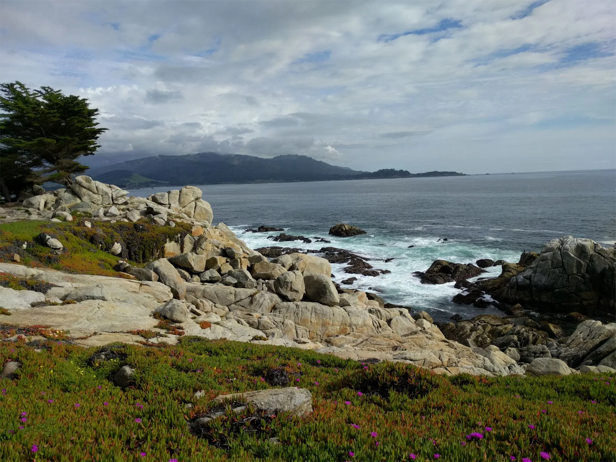   Marine Conservation Solutions    Learn More  