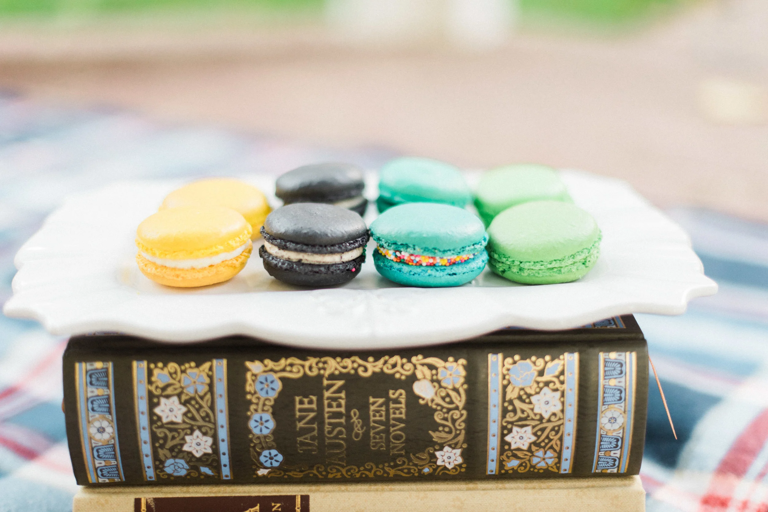 msp_Chelsea&Michael_Engagement-2.jpg