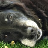 Soulful Osa Pic