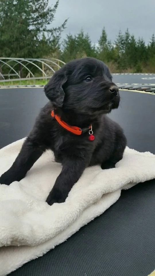 Picking up the pieces