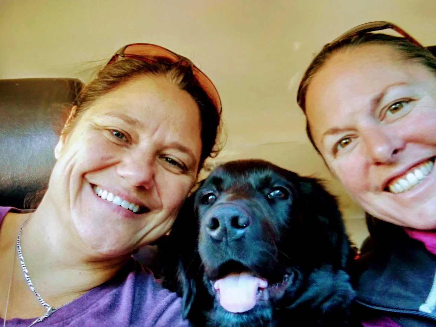 Summer revs with the Throttle Back!  