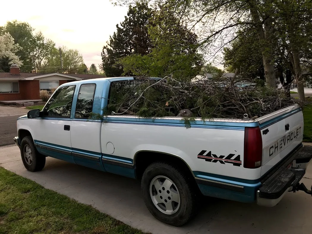 Three truck loads of scratchy branches we took to recycling!