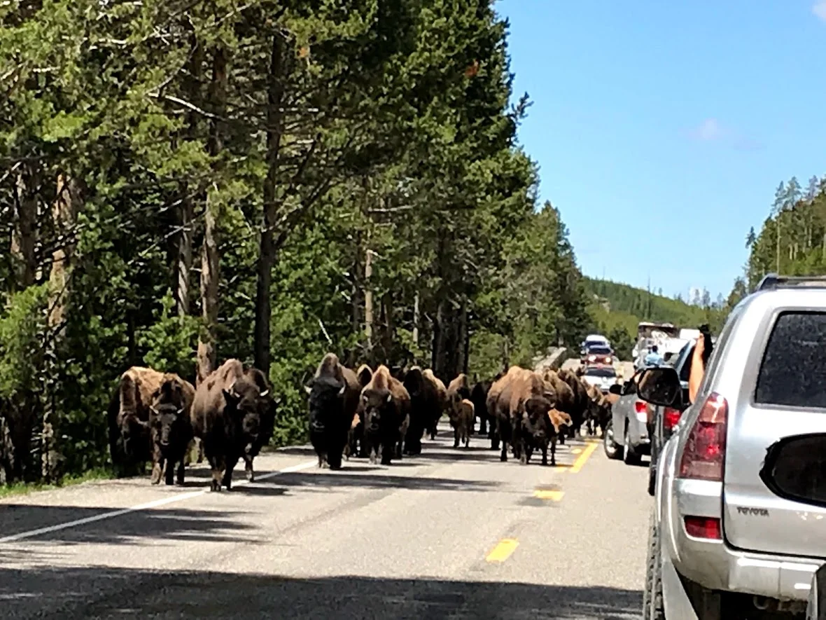 traffic jam.jpg