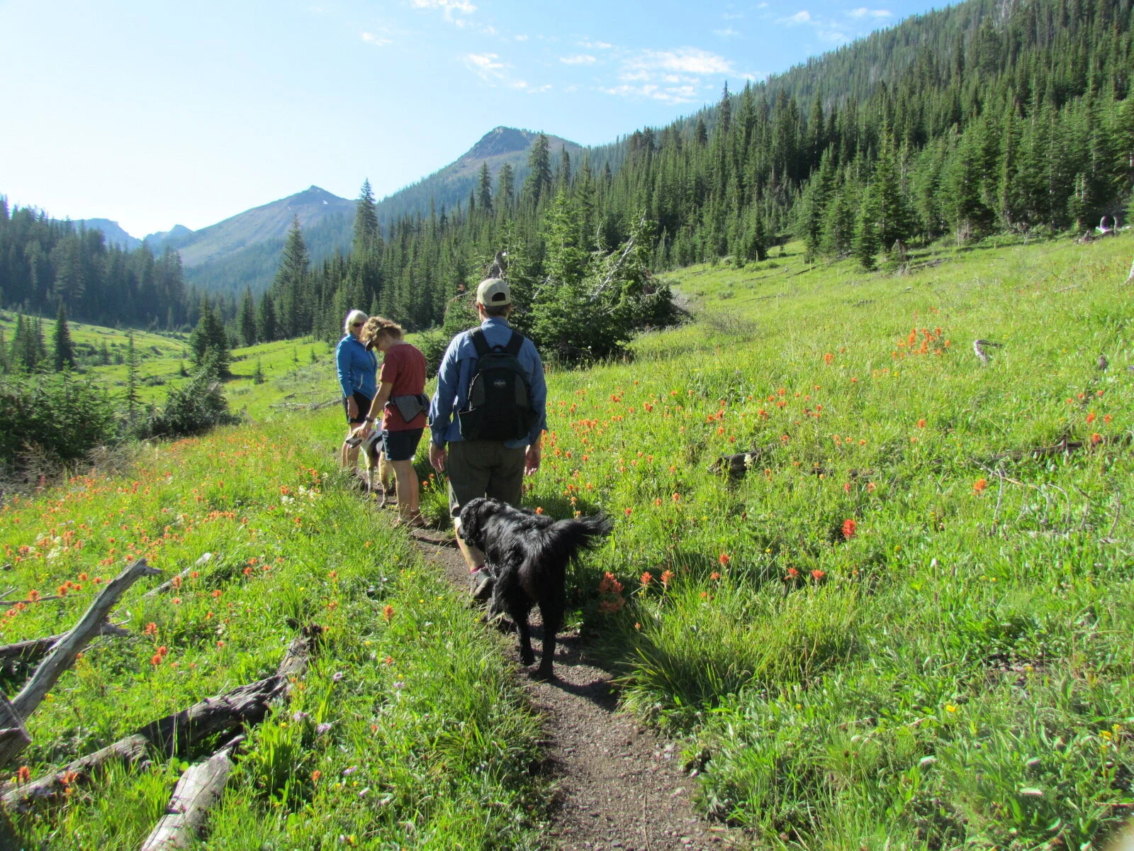 Beautiful Day for a Hike