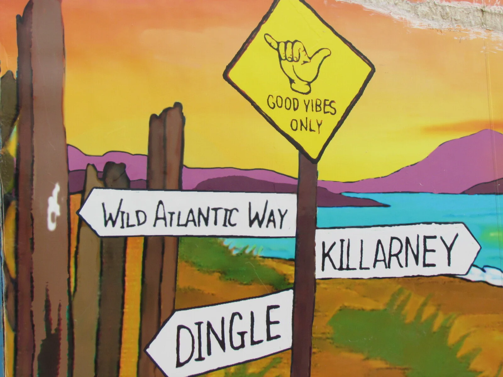 Fun Signs! 