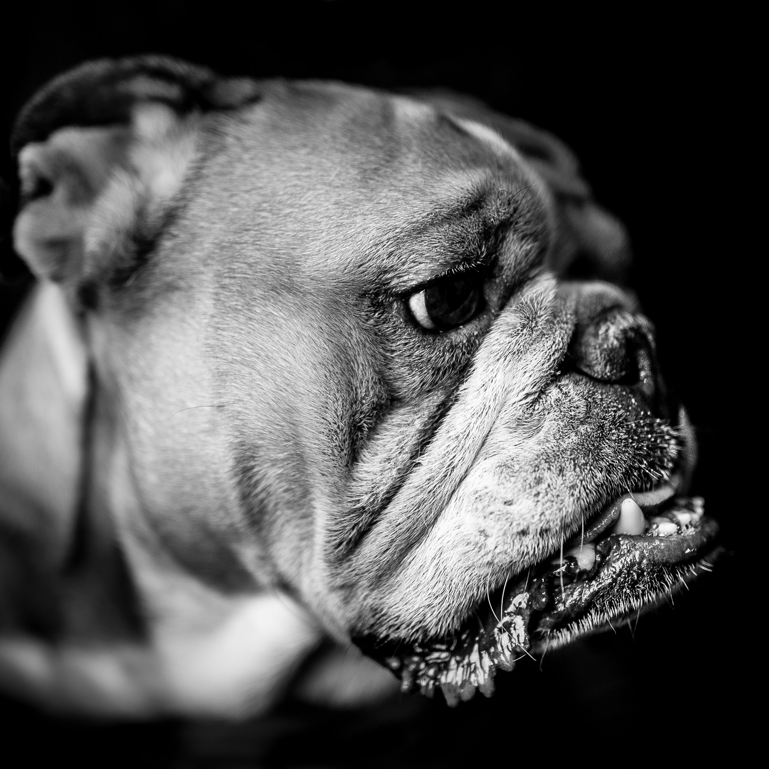 Roderick_Cooney_Photography_2016_-1-10.jpg